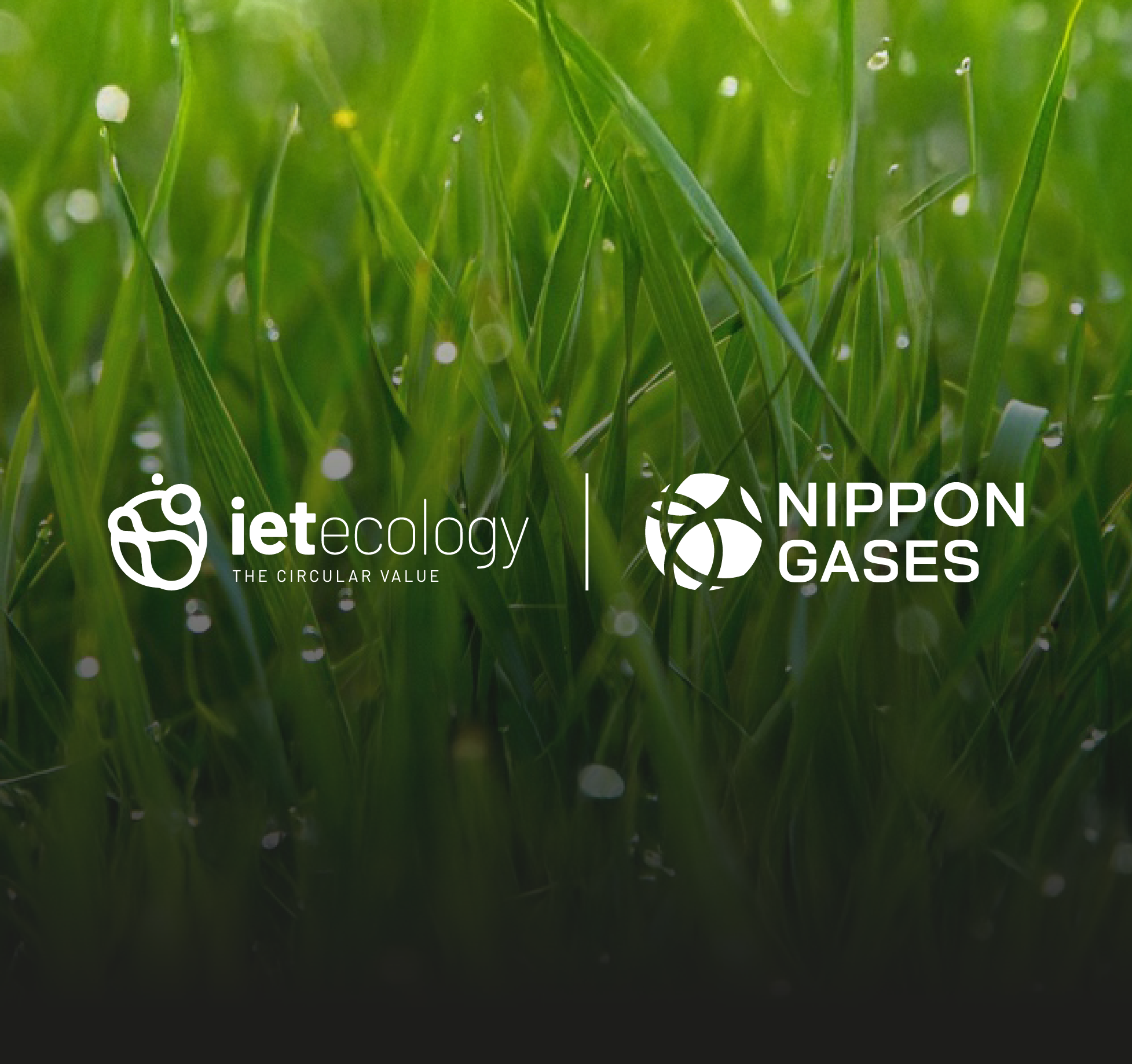 Extending Decarbonisation Solutions | NIPPON GASES