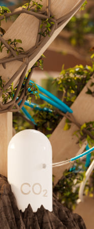 Carbon Dioxide Capture Technology