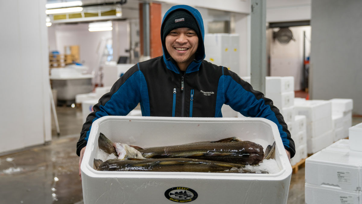 Mann med fiskekasse, gasspakking av mat, fisk, pakking