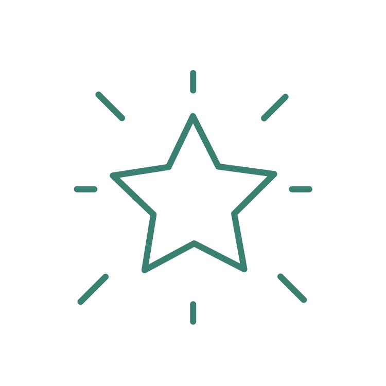 Competetiv icon star